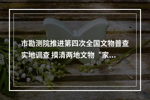 市勘测院推进第四次全国文物普查实地调查 摸清两地文物“家底”