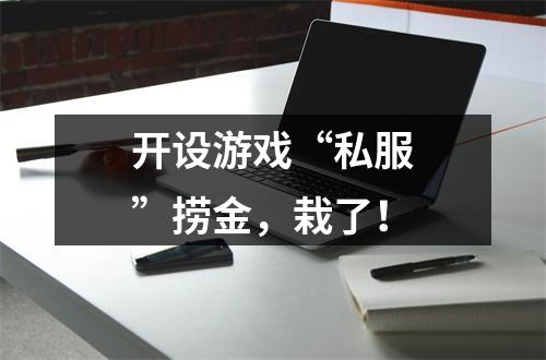 开设游戏“私服”捞金，栽了！
