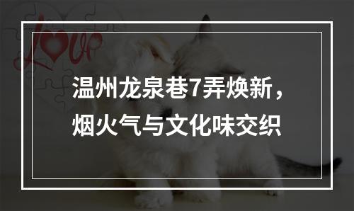 温州龙泉巷7弄焕新，烟火气与文化味交织