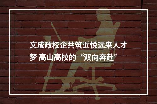 文成政校企共筑近悦远来人才梦 高山高校的“双向奔赴”