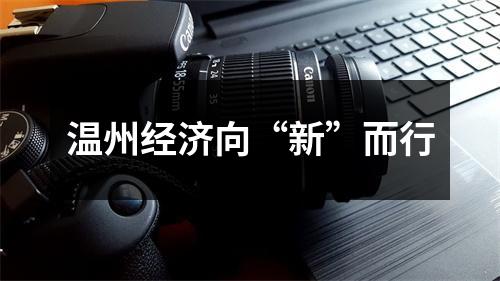 温州经济向“新”而行