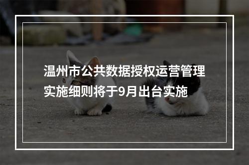 温州市公共数据授权运营管理实施细则将于9月出台实施