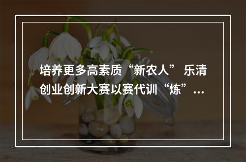 培养更多高素质“新农人” 乐清创业创新大赛以赛代训“炼”人才