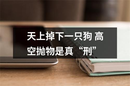 天上掉下一只狗 高空抛物是真“刑”