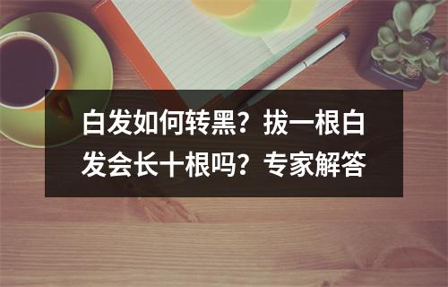白发如何转黑？拔一根白发会长十根吗？专家解答