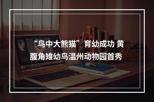 “鸟中大熊猫”育幼成功 黄腹角雉幼鸟温州动物园首秀