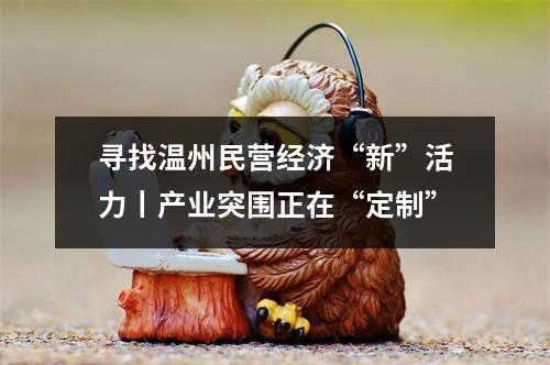 寻找温州民营经济“新”活力丨产业突围正在“定制”