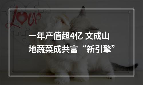 一年产值超4亿 文成山地蔬菜成共富“新引擎”