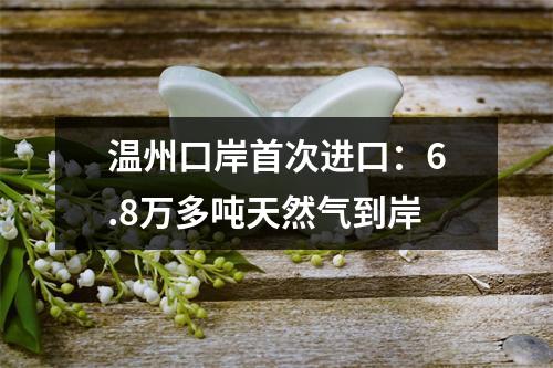 温州口岸首次进口：6.8万多吨天然气到岸