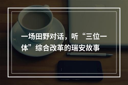 一场田野对话，听“三位一体”综合改革的瑞安故事