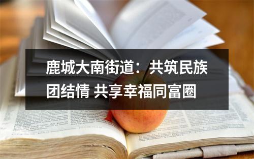 鹿城大南街道：共筑民族团结情 共享幸福同富圈