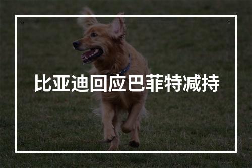 比亚迪回应巴菲特减持