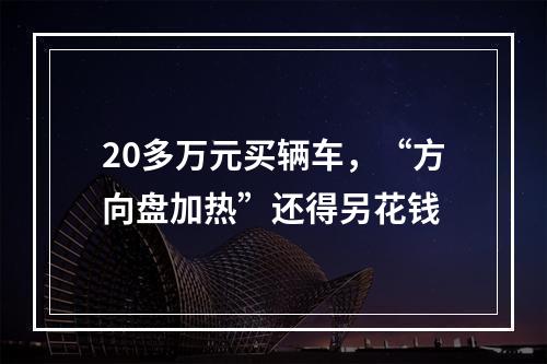 20多万元买辆车，“方向盘加热”还得另花钱