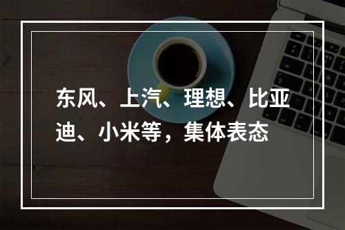 东风、上汽、理想、比亚迪、小米等，集体表态