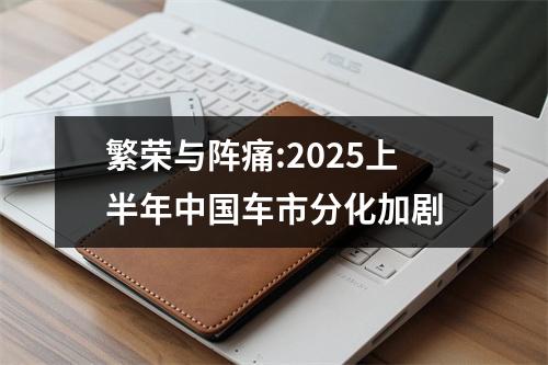 繁荣与阵痛:2025上半年中国车市分化加剧