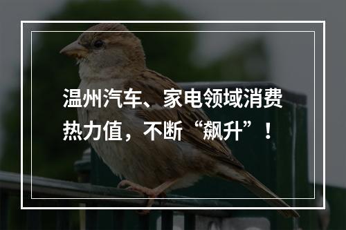 温州汽车、家电领域消费热力值，不断“飙升”！