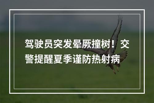 驾驶员突发晕厥撞树！交警提醒夏季谨防热射病