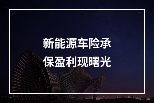 新能源车险承保盈利现曙光