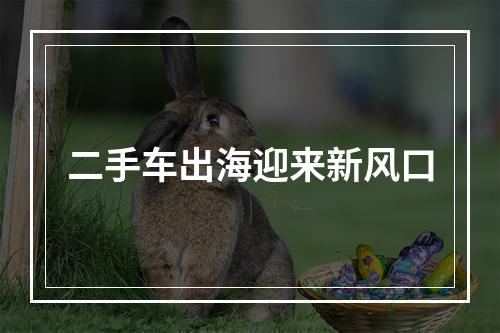 二手车出海迎来新风口