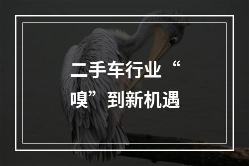 二手车行业“嗅”到新机遇