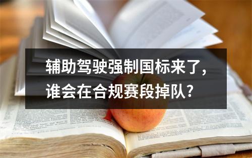 辅助驾驶强制国标来了,谁会在合规赛段掉队?