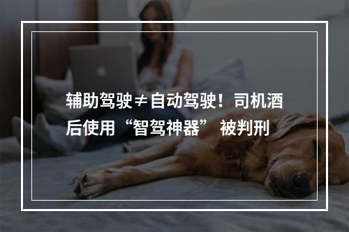 辅助驾驶≠自动驾驶！司机酒后使用“智驾神器” 被判刑