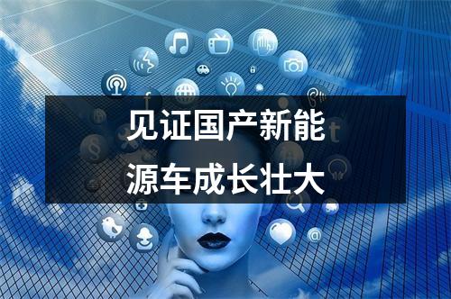 见证国产新能源车成长壮大