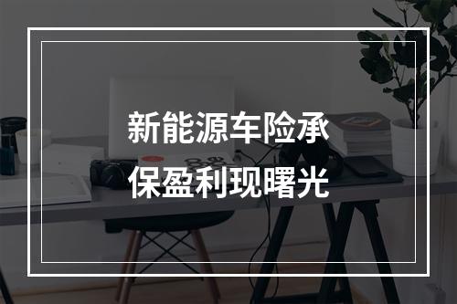 新能源车险承保盈利现曙光
