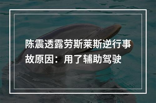 陈震透露劳斯莱斯逆行事故原因：用了辅助驾驶