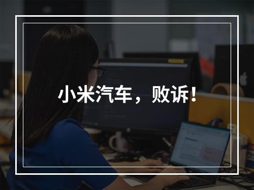 小米汽车，败诉！