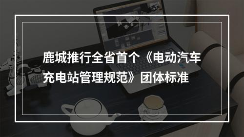 鹿城推行全省首个《电动汽车充电站管理规范》团体标准