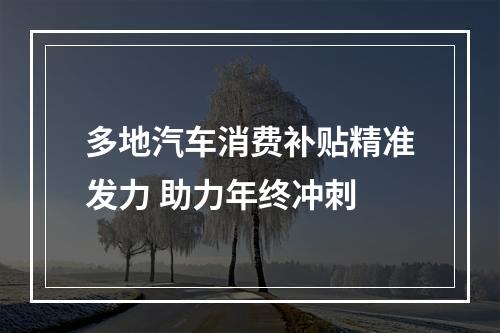 多地汽车消费补贴精准发力 助力年终冲刺