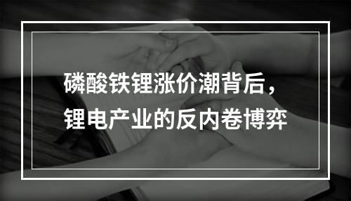 磷酸铁锂涨价潮背后，锂电产业的反内卷博弈