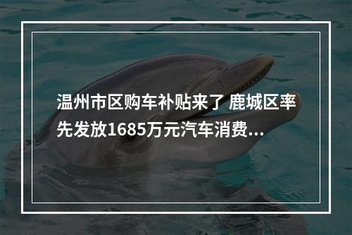 温州市区购车补贴来了 鹿城区率先发放1685万元汽车消费券