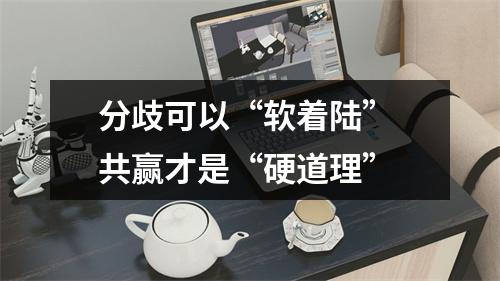 分歧可以“软着陆” 共赢才是“硬道理”