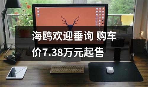 海鸥欢迎垂询 购车价7.38万元起售