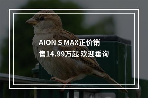 AION S MAX正价销售14.99万起 欢迎垂询