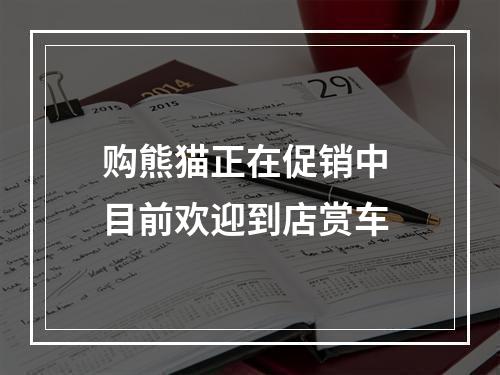 购熊猫正在促销中 目前欢迎到店赏车