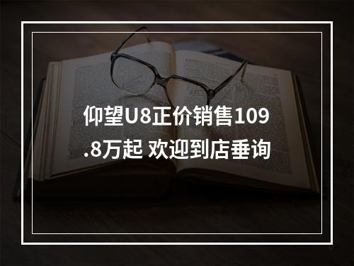 仰望U8正价销售109.8万起 欢迎到店垂询