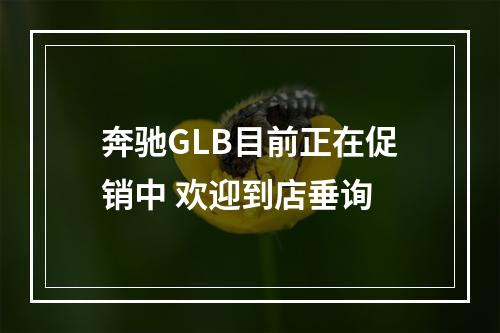 奔驰GLB目前正在促销中 欢迎到店垂询