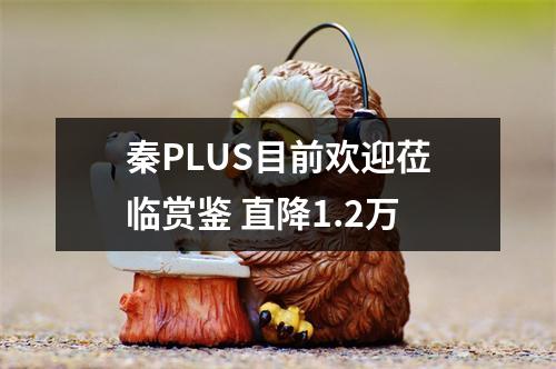 秦PLUS目前欢迎莅临赏鉴 直降1.2万