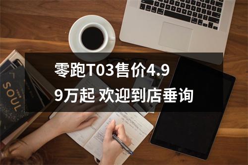零跑T03售价4.99万起 欢迎到店垂询