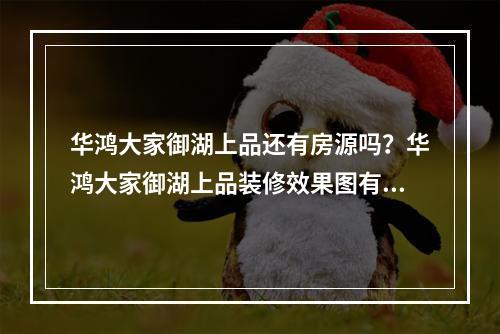 华鸿大家御湖上品还有房源吗？华鸿大家御湖上品装修效果图有吗？