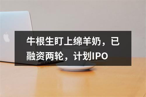 牛根生盯上绵羊奶，已融资两轮，计划IPO