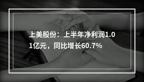 上美股份：上半年净利润1.01亿元，同比增长60.7%