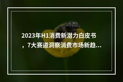2023年H1消费新潜力白皮书，7大赛道洞察消费市场新趋势