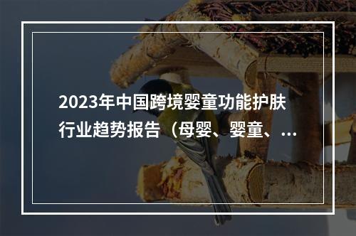 2023年中国跨境婴童功能护肤行业趋势报告（母婴、婴童、护肤）