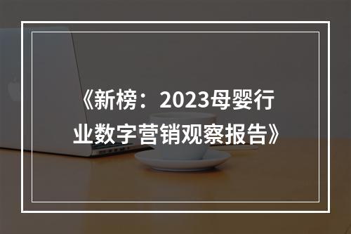 《新榜：2023母婴行业数字营销观察报告》