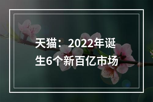 天猫：2022年诞生6个新百亿市场