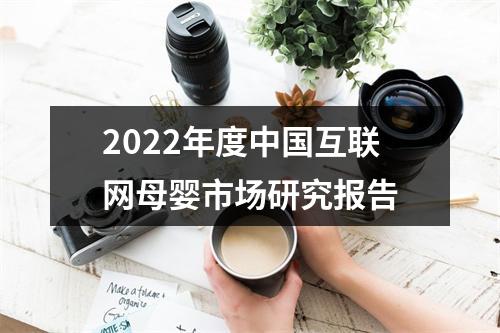 2022年度中国互联网母婴市场研究报告